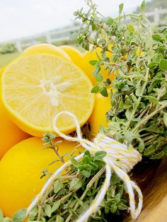 image Лимонена мащерка  -thymus citriodorus lemon (7028)